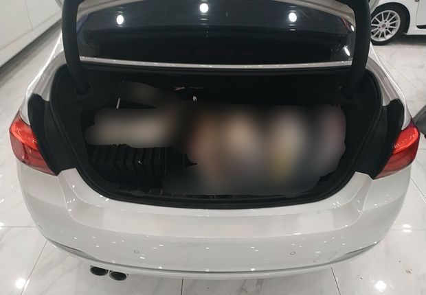 宝马3系 320Li 2018款 2.0T 自动 汽油 时尚型 (国Ⅴ) 