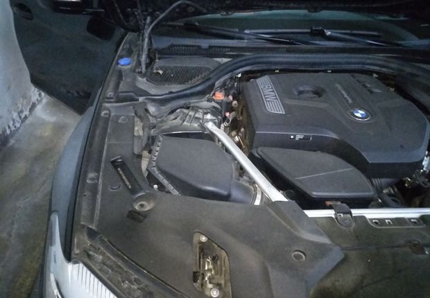 宝马5系 530Li 2019款 2.0T 自动 汽油 领先型M运动套装 (国Ⅴ) 